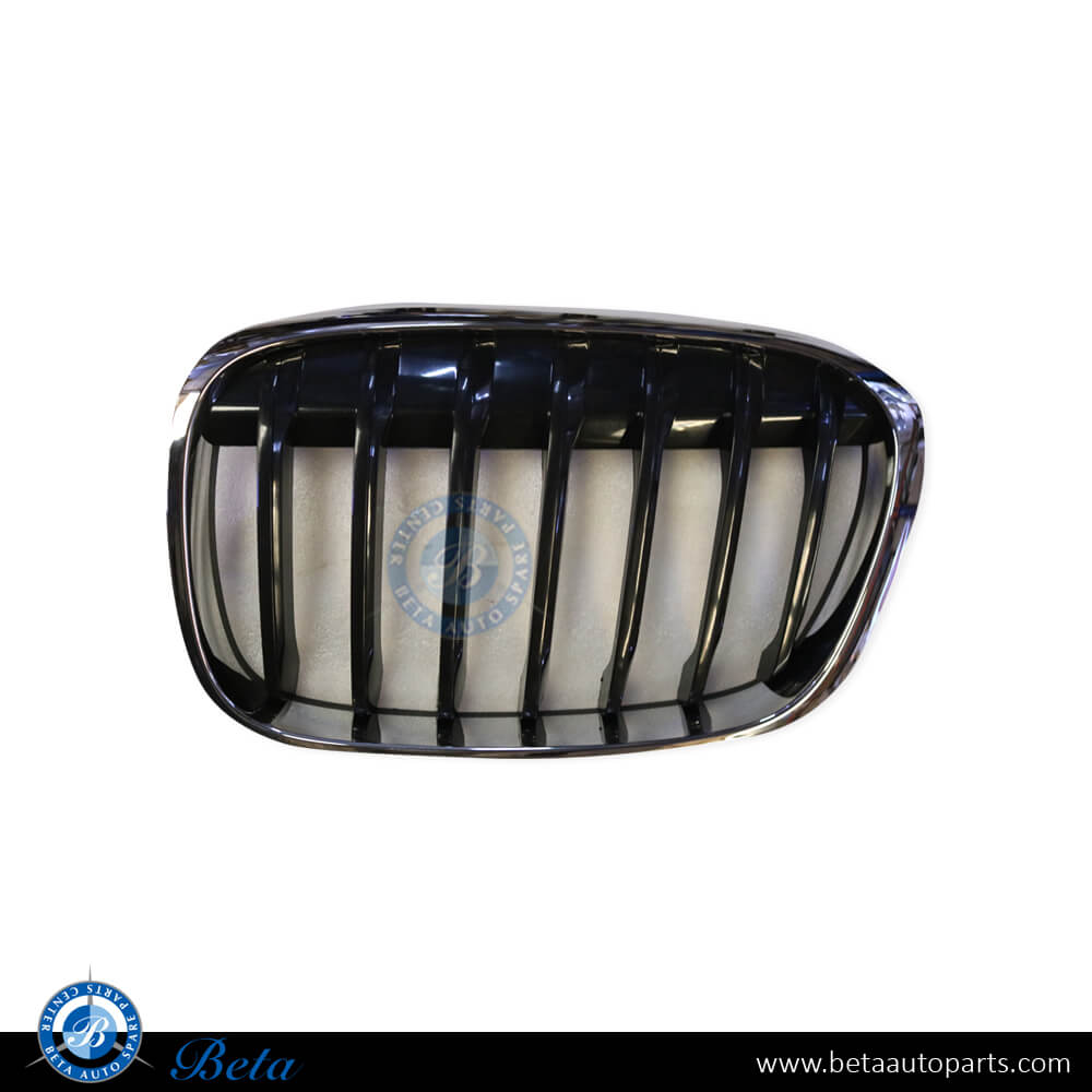 Left Side Radiator Grille - Basis for BMW X1 F48 2016-2019 models, Part Number 51137354823 Left Side Radiator Grille - Basis for BMW X1 F48 2016-2019 models, Part Number 51137354823